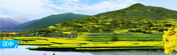 汉中