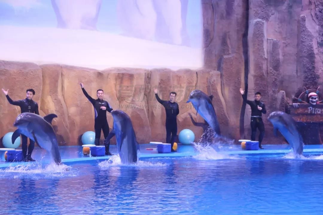华夏文旅海洋公园
